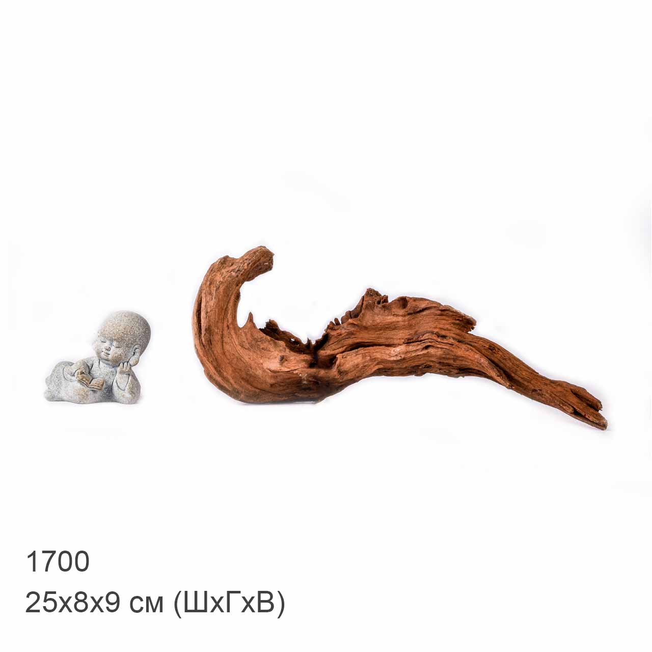 Коряга MASHA BLOOM "Железное дерево" затонувшая мангровая XS - 1700