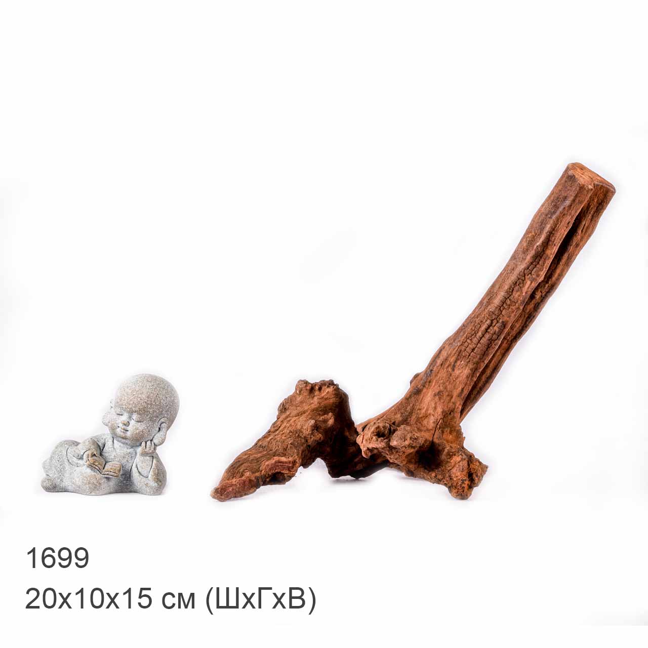 Коряга MASHA BLOOM "Железное дерево" затонувшая мангровая XS - 1699