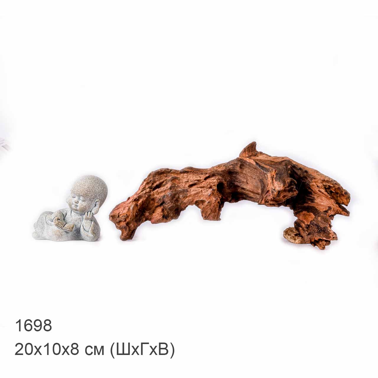 Коряга MASHA BLOOM "Железное дерево" затонувшая мангровая XS - 1698