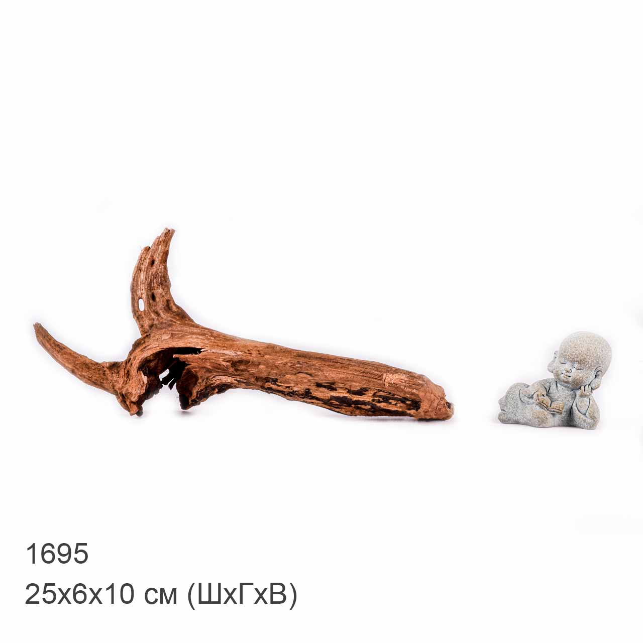 Коряга MASHA BLOOM "Железное дерево" затонувшая мангровая XS - 1695