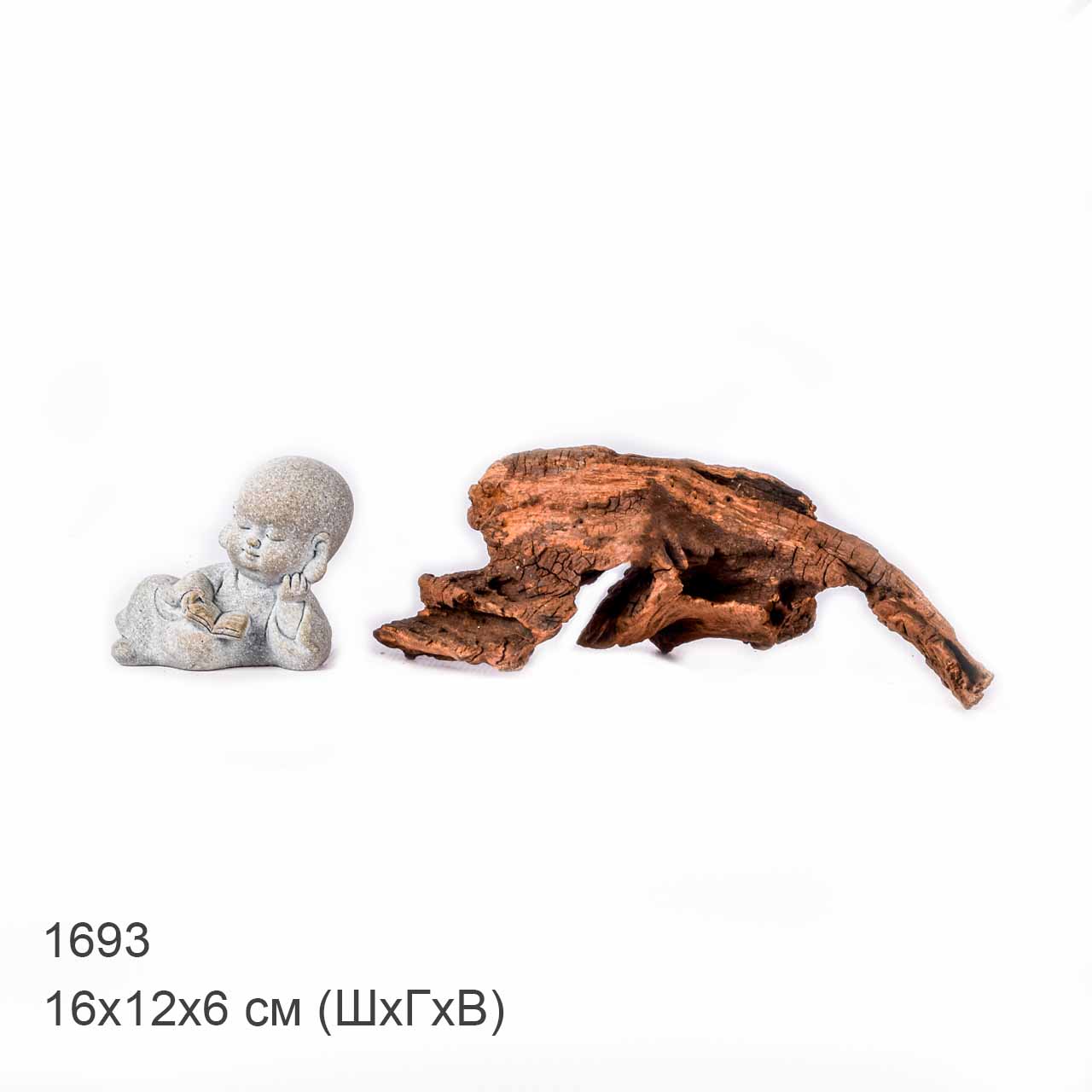 Коряга MASHA BLOOM "Железное дерево" затонувшая мангровая XS - 1693