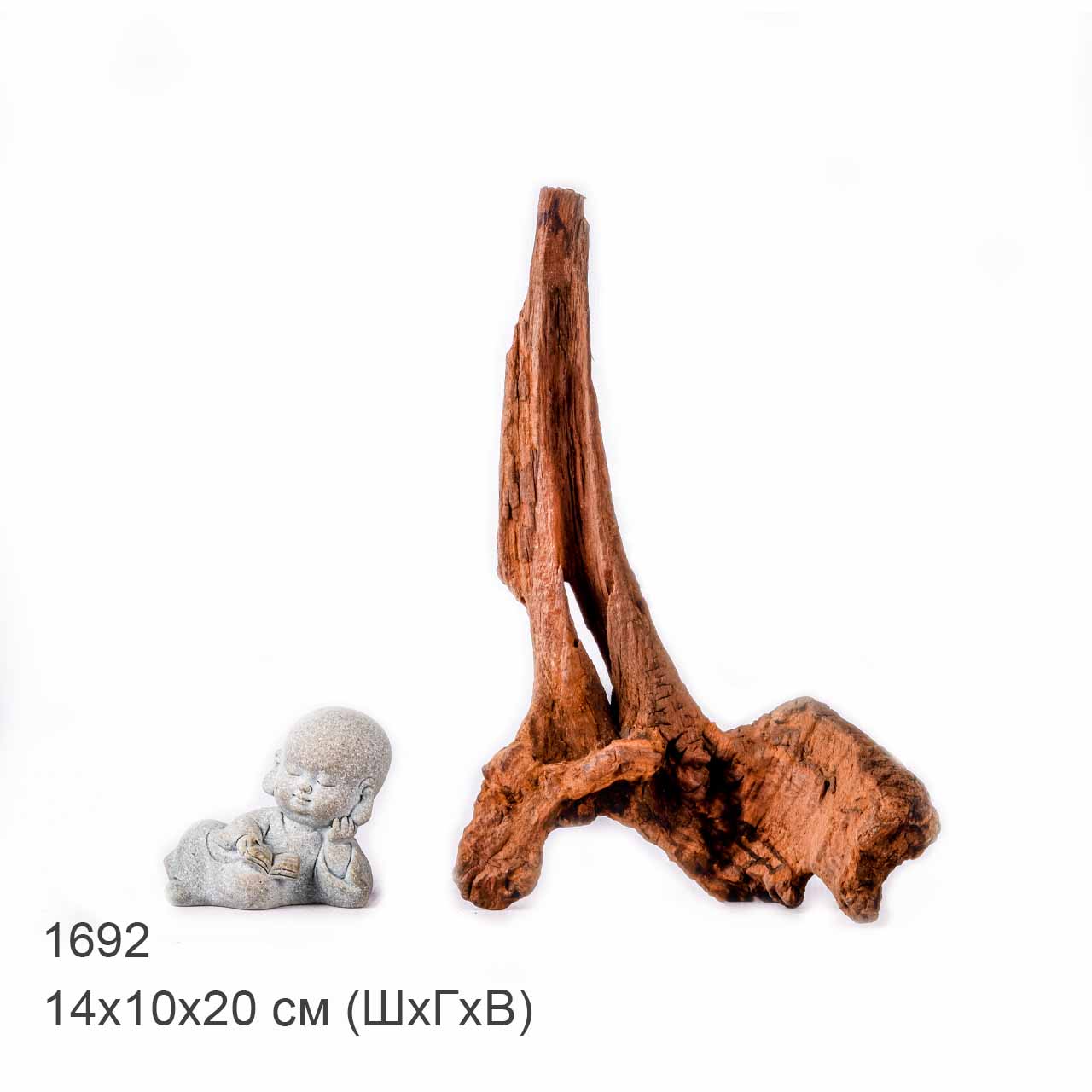 Коряга MASHA BLOOM "Железное дерево" затонувшая мангровая XS - 1692