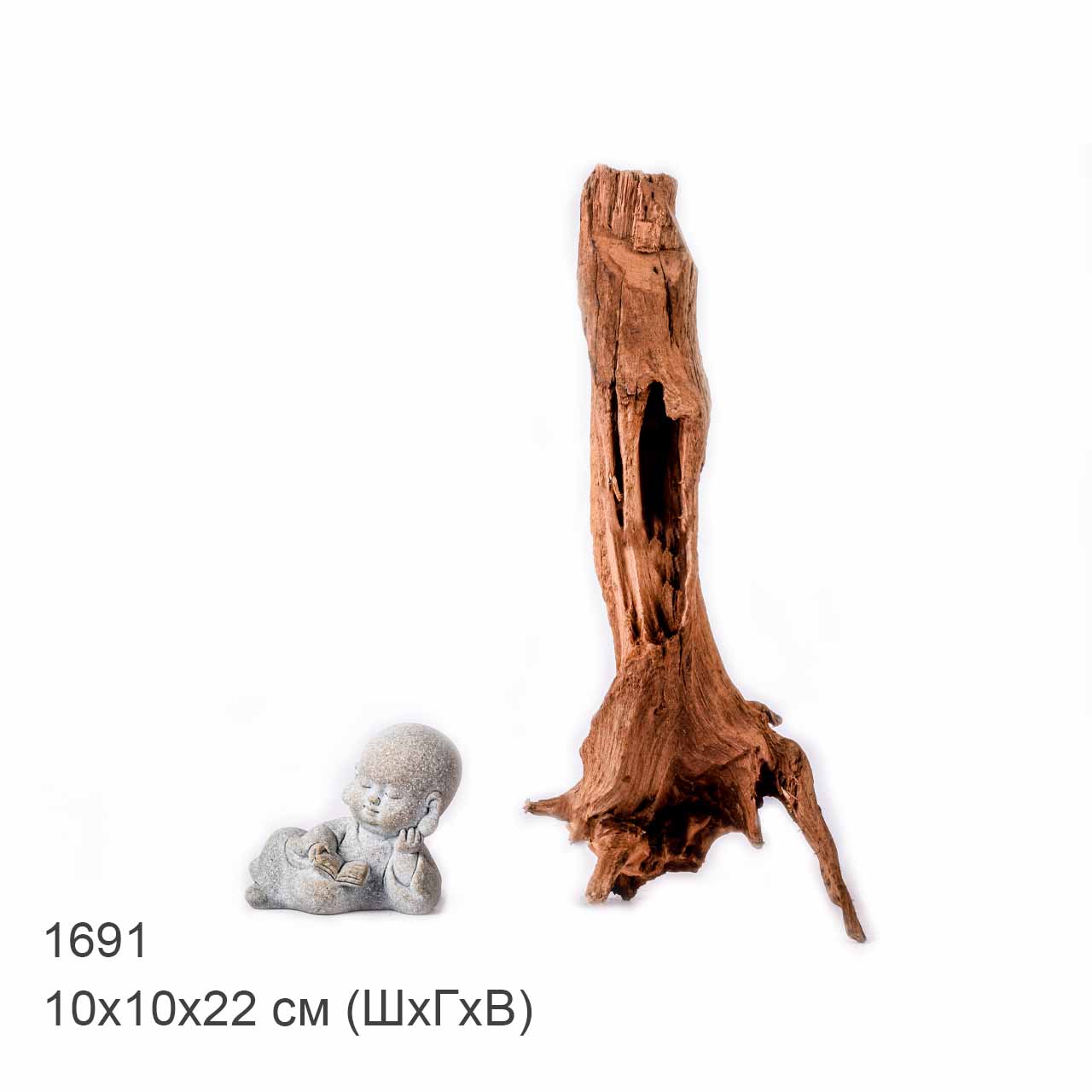 Коряга MASHA BLOOM "Железное дерево" затонувшая мангровая XS - 1691