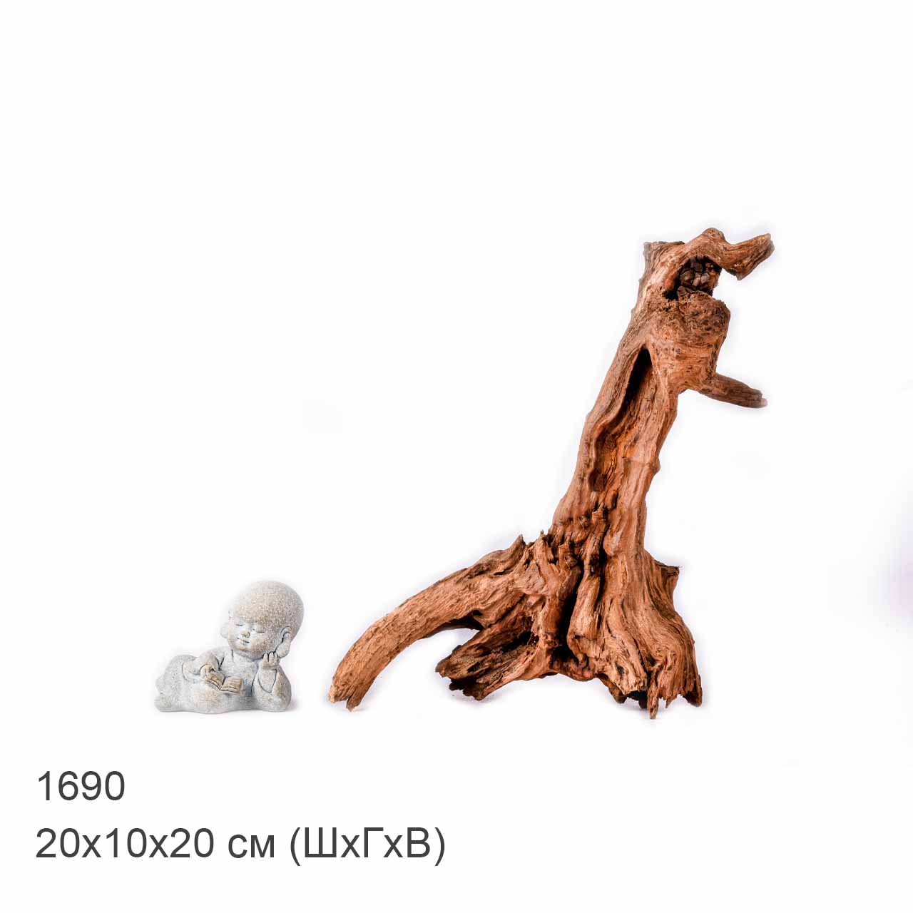 Коряга MASHA BLOOM "Железное дерево" затонувшая мангровая XS - 1690