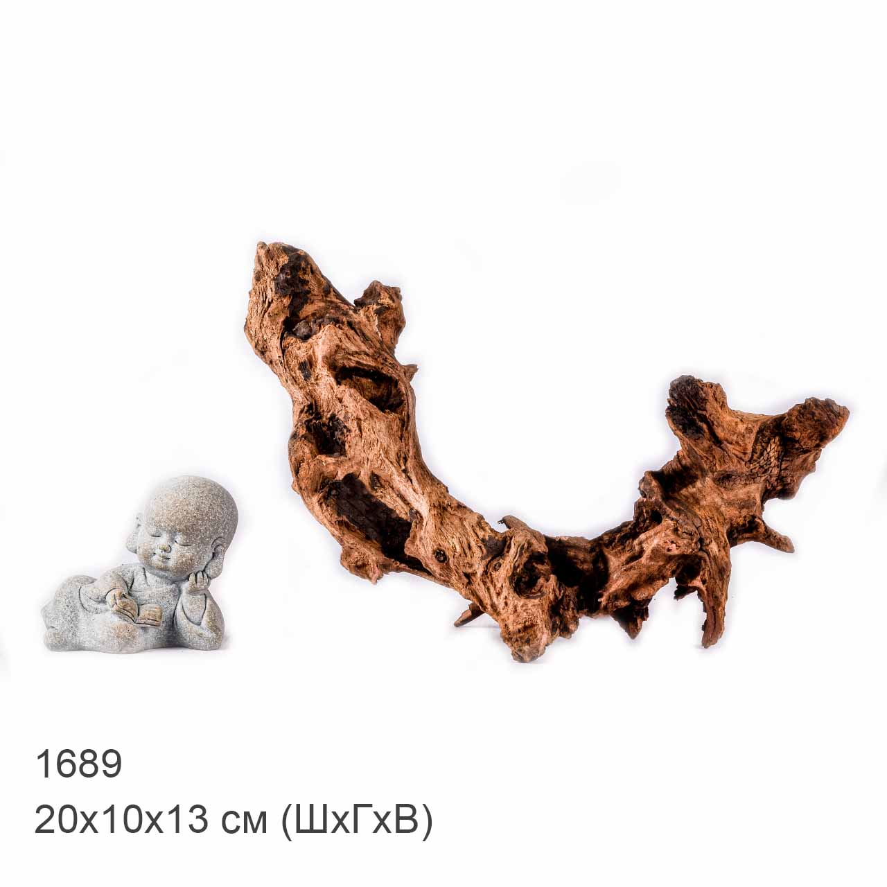 Коряга MASHA BLOOM "Железное дерево" затонувшая мангровая XS - 1689