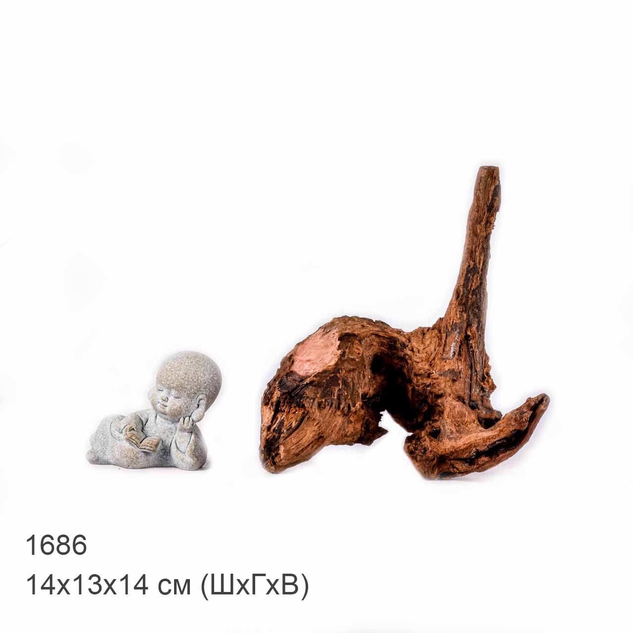 Коряга MASHA BLOOM "Железное дерево" затонувшая мангровая XS - 1686