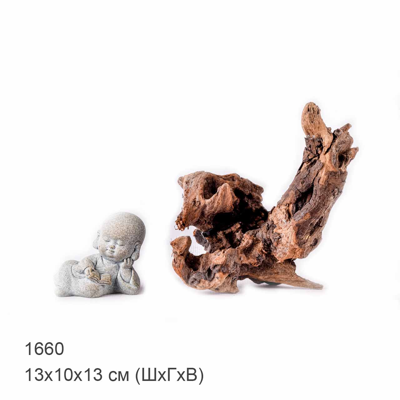 Коряга MASHA BLOOM "Железное дерево" затонувшая мангровая XS - 1660