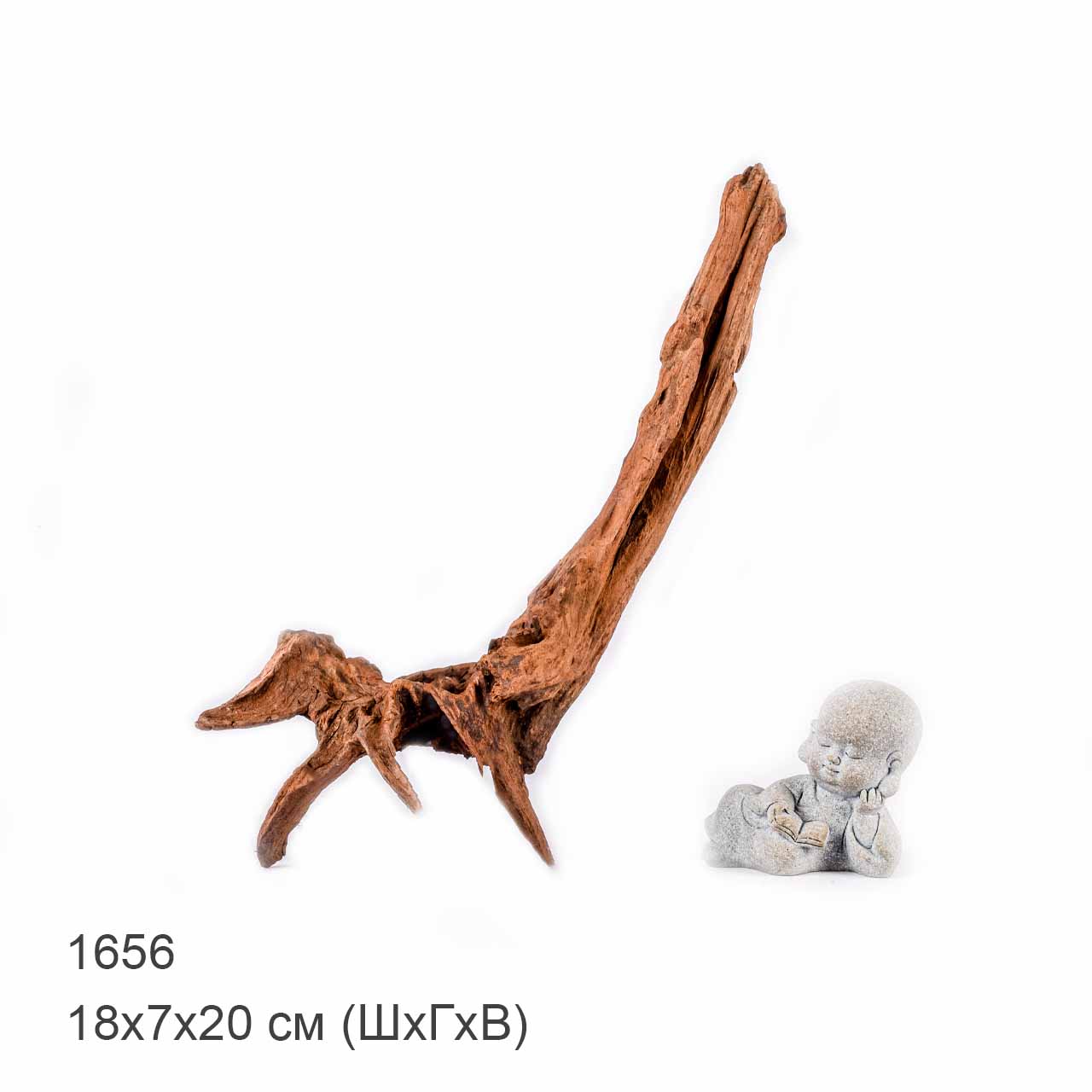 Коряга MASHA BLOOM "Железное дерево" затонувшая мангровая XS - 1656