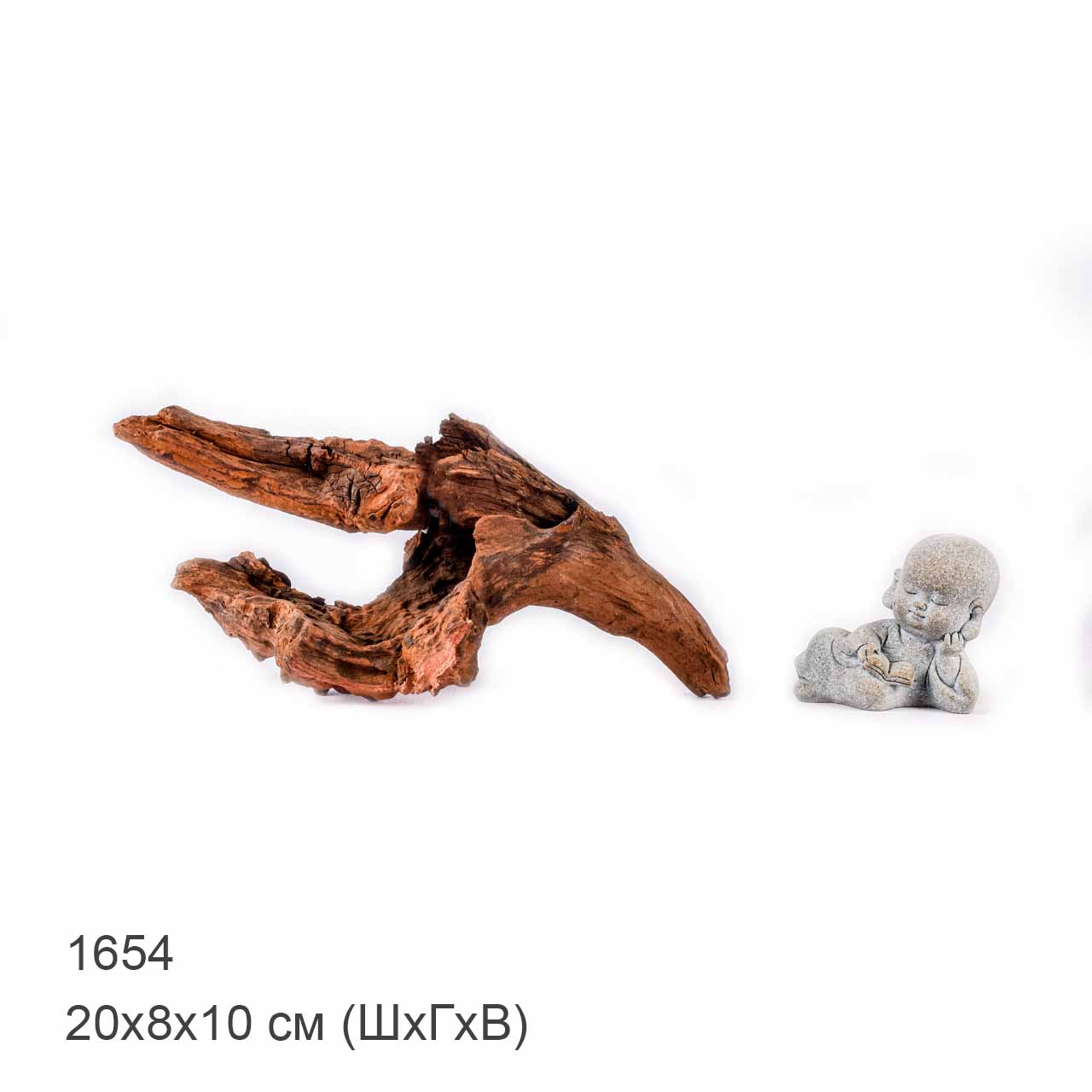 Коряга MASHA BLOOM "Железное дерево" затонувшая мангровая XS - 1654