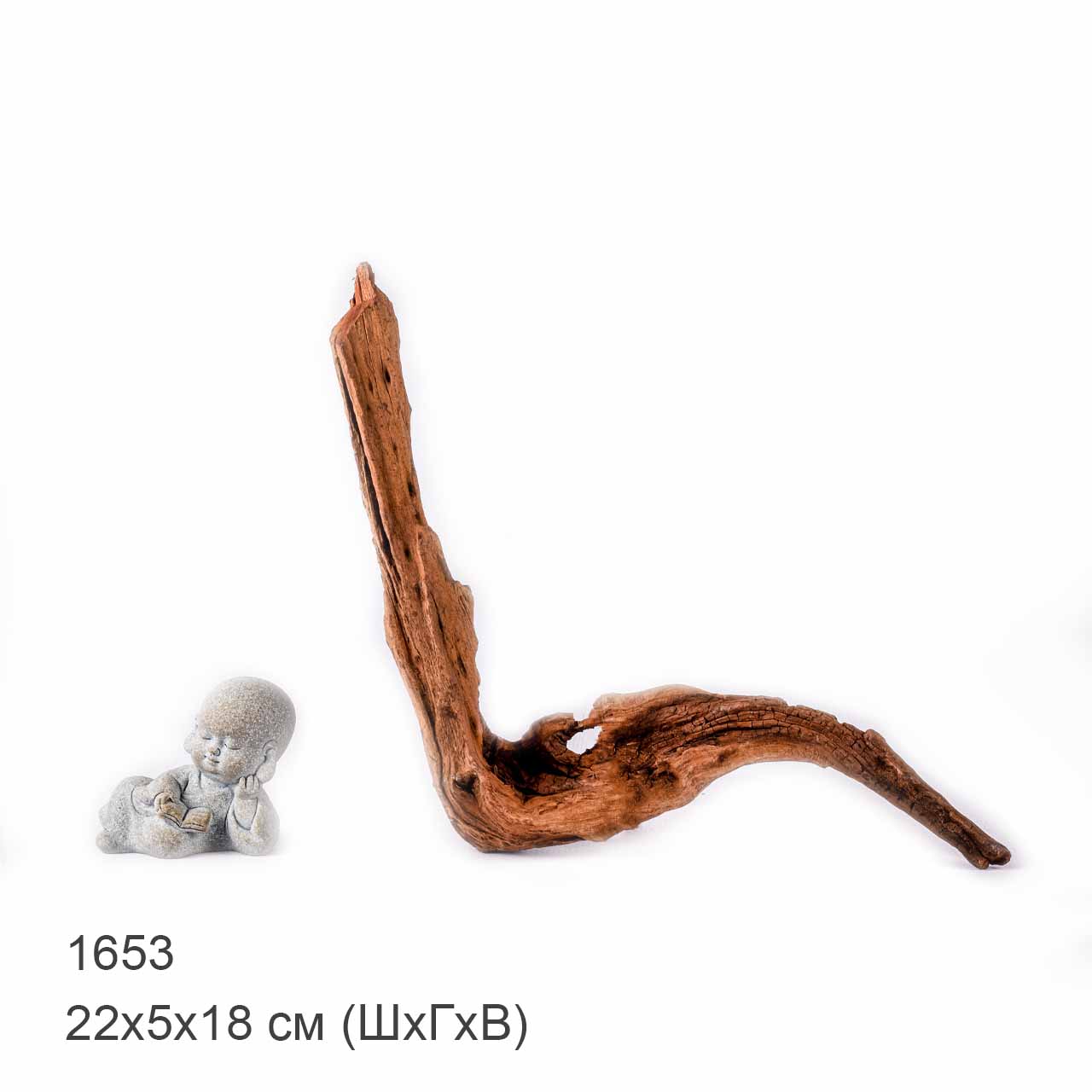 Коряга MASHA BLOOM "Железное дерево" затонувшая мангровая XS - 1653