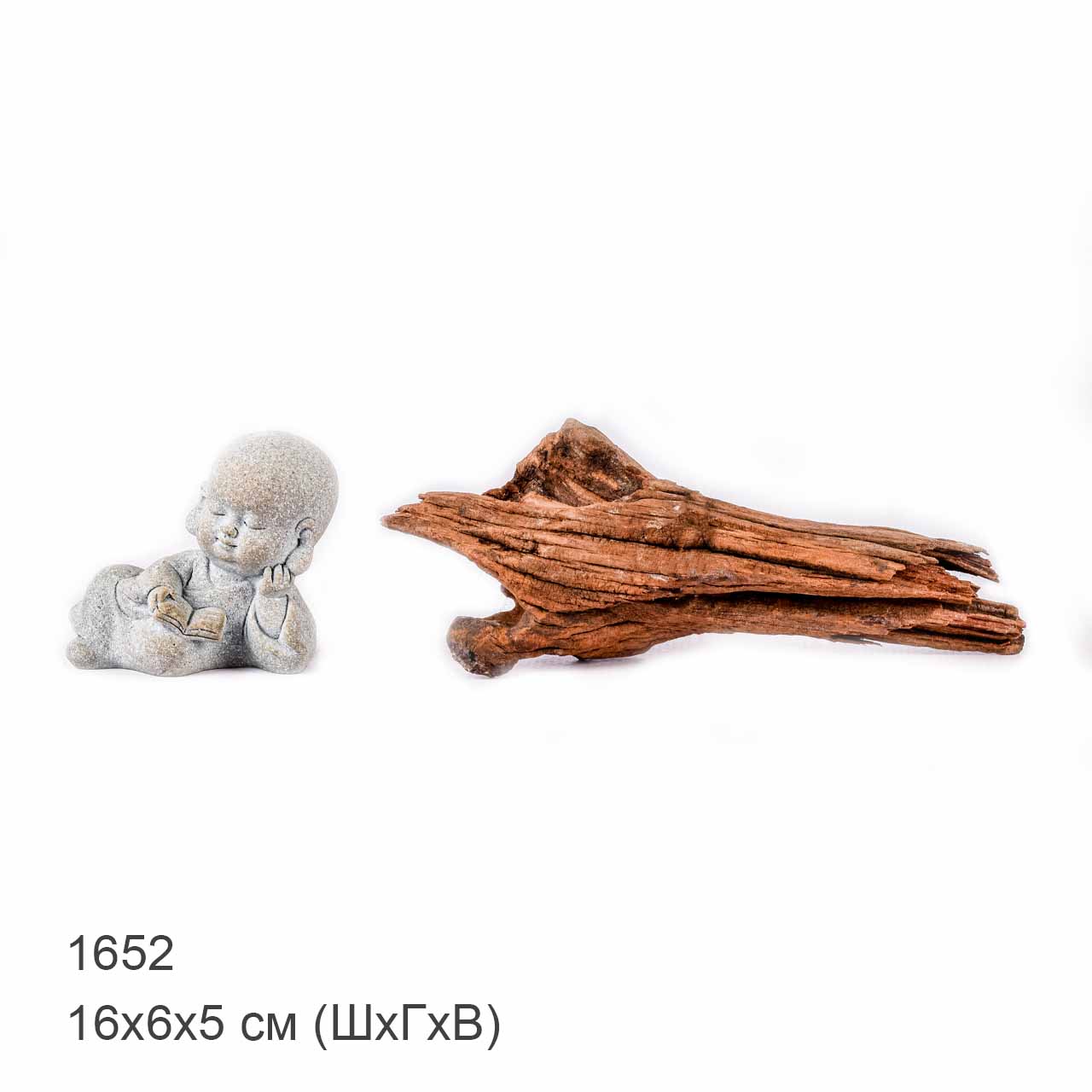 Коряга MASHA BLOOM "Железное дерево" затонувшая мангровая XS - 1652