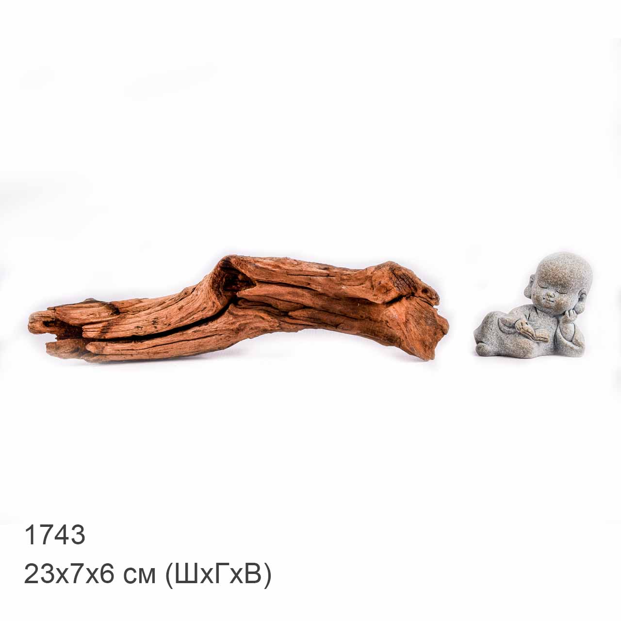 Коряга MASHA BLOOM "Железное дерево" затонувшая мангровая XXS - 1743