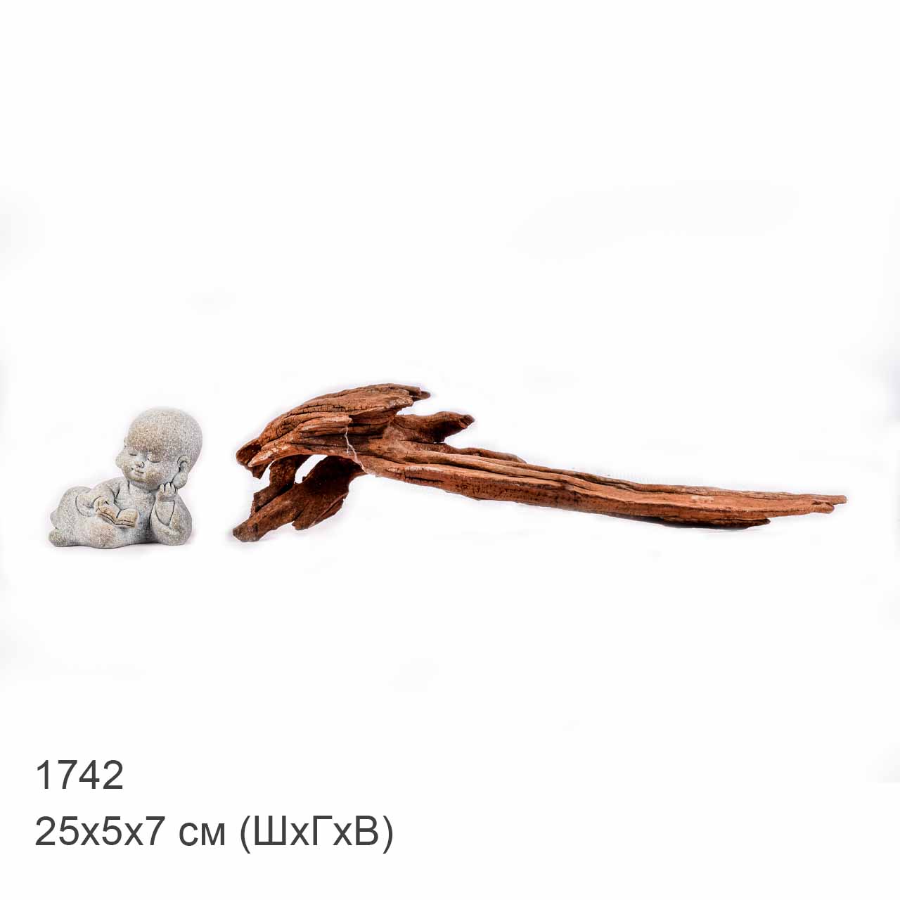 Коряга MASHA BLOOM "Железное дерево" затонувшая мангровая XXS - 1742