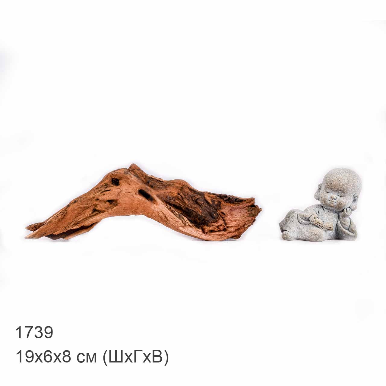 Коряга MASHA BLOOM "Железное дерево" затонувшая мангровая XXS - 1739