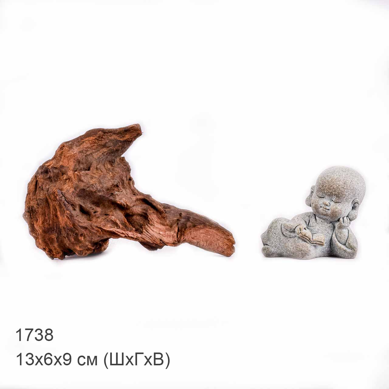 Коряга MASHA BLOOM "Железное дерево" затонувшая мангровая XXS - 1738