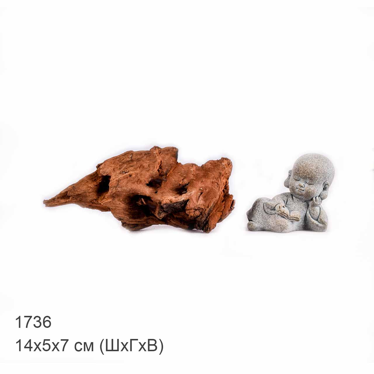 Коряга MASHA BLOOM "Железное дерево" затонувшая мангровая XXS - 1736