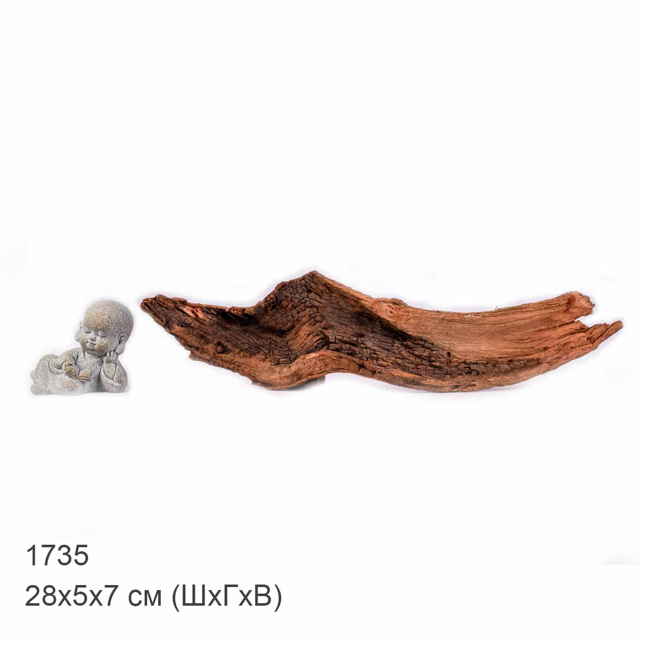 Коряга MASHA BLOOM "Железное дерево" затонувшая мангровая XXS - 1735