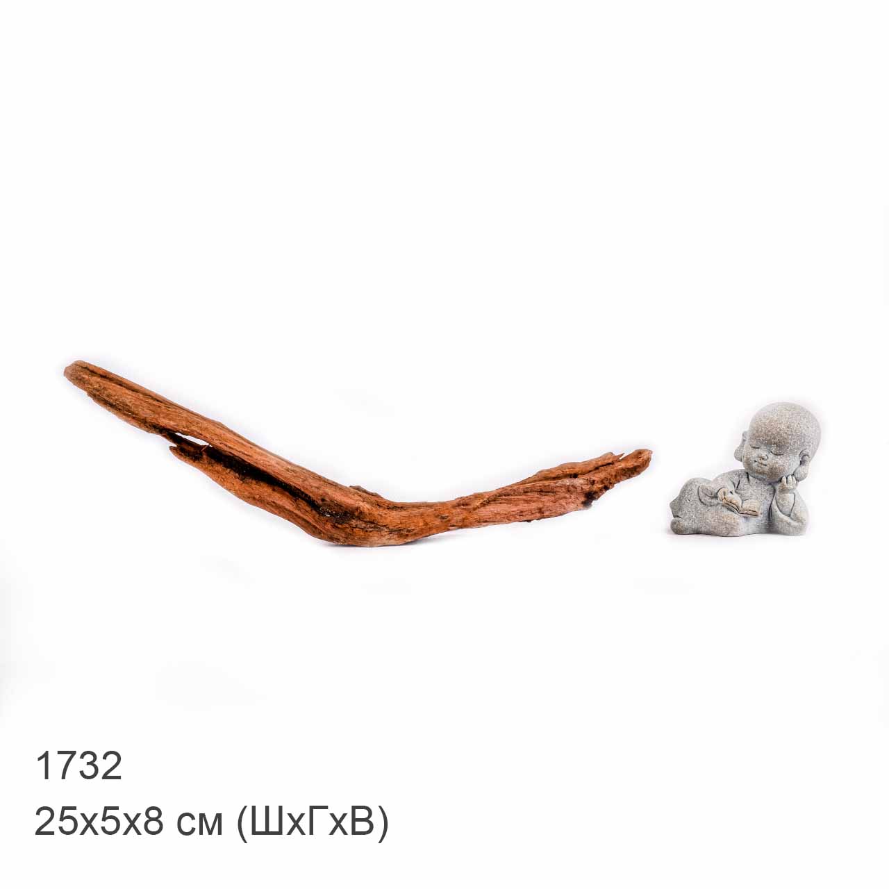 Коряга MASHA BLOOM "Железное дерево" затонувшая мангровая XXS - 1732