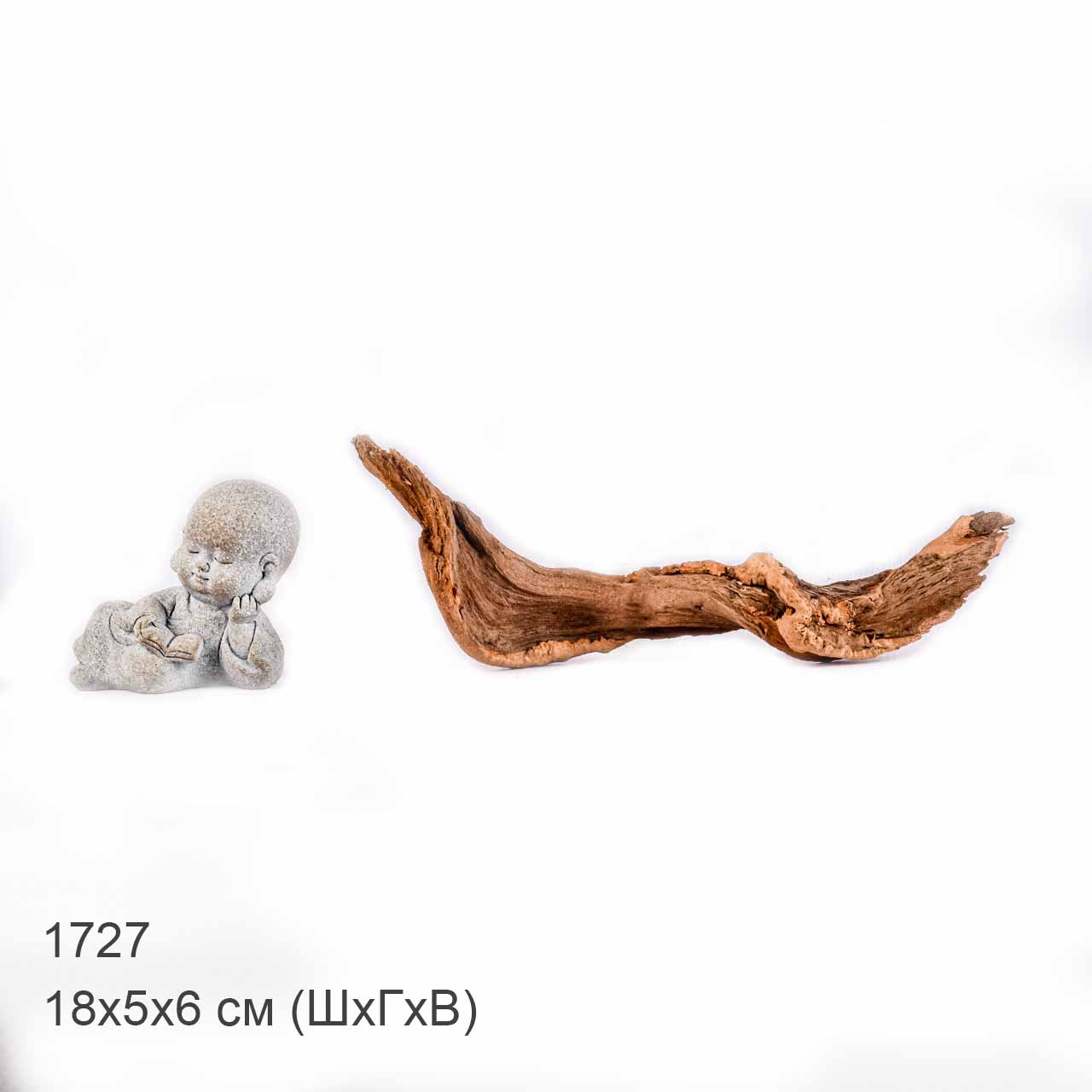 Коряга MASHA BLOOM "Железное дерево" затонувшая мангровая XXS - 1727