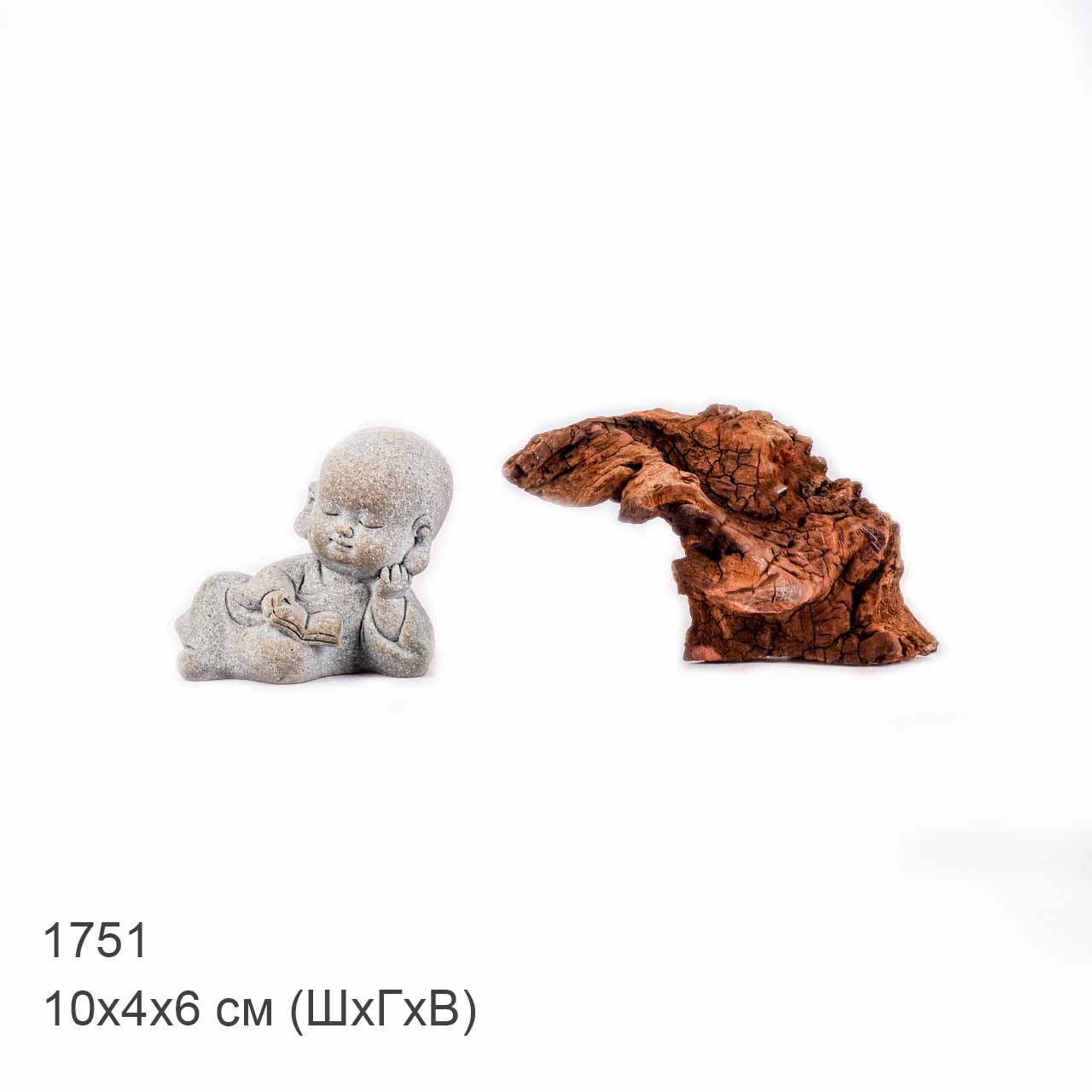 Коряга MASHA BLOOM "Железное дерево" затонувшая мангровая XXXS - 1751