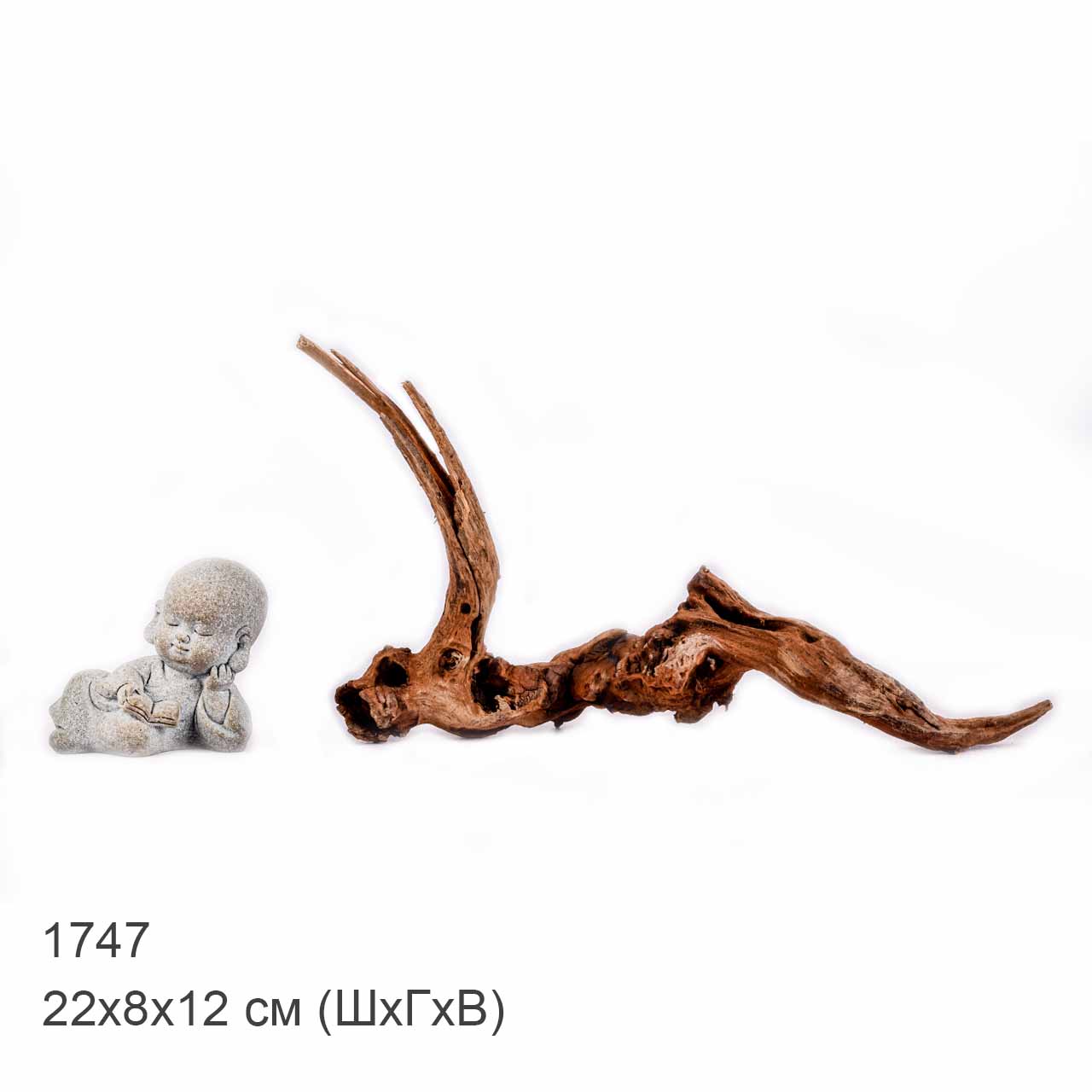 Коряга MASHA BLOOM "Железное дерево" затонувшая мангровая XXXS - 1747