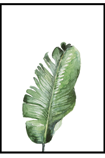 Постер Лист банана