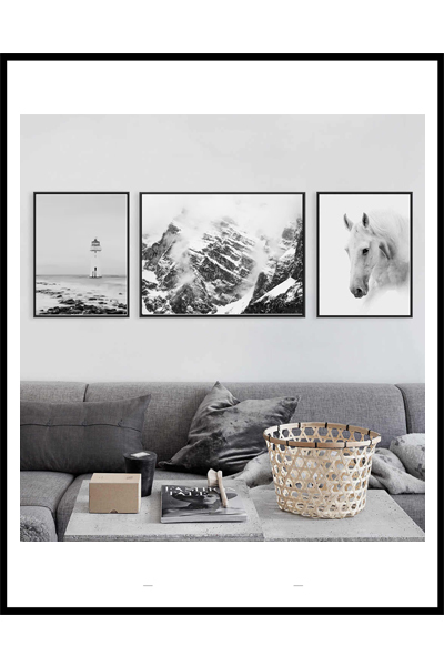 Сет Сканди #1