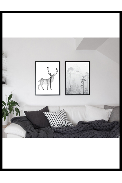 Сет Сканди #2