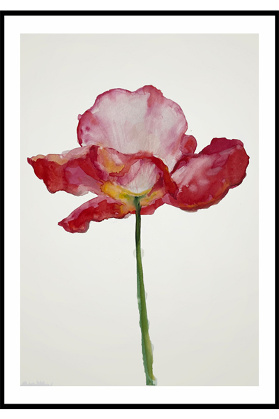 Постер Красный цветок