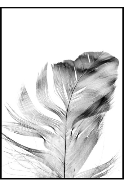 Постер Перо