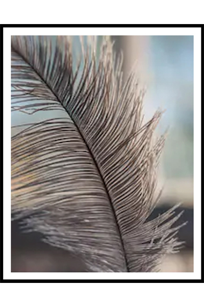 Постер Перо #2