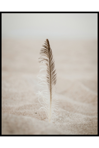 Постер Перо в песке