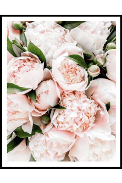 Постер Пионы #1