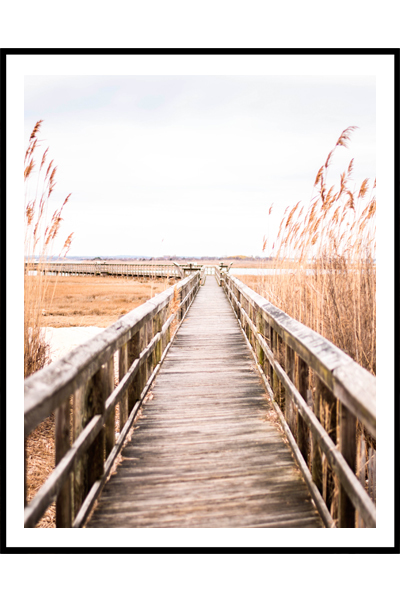 Постер Дорога к морю