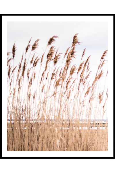 Постер Шум травы