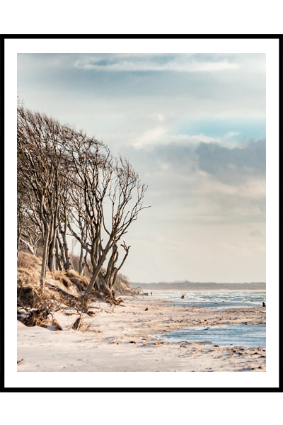 Постер Побережье