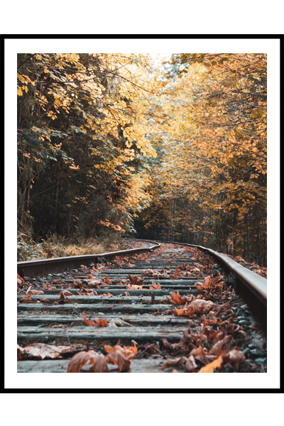 Постер Железная дорога