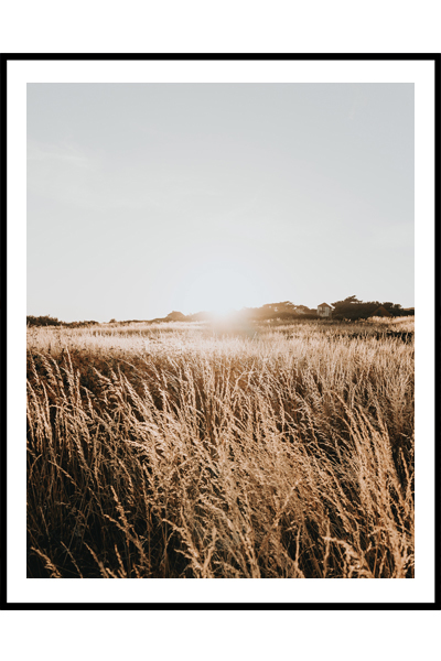 Постер  Осеннее поле