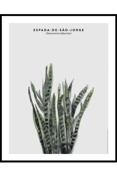 Постер Ботаника Espada