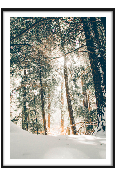 Постер  Зимний лес #2