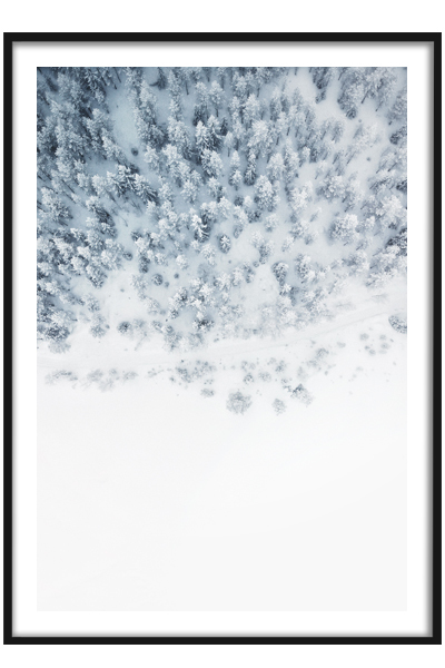 Постер Снежный лес вид сверху