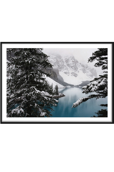 Постер Озеро за ветвями