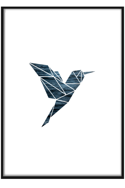 Постер  Колибри