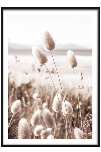 Постер Прибрежная трава