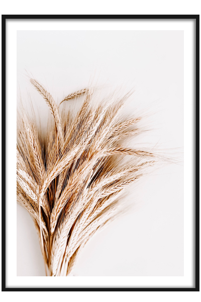 Постер Пщеница