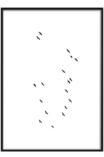 Постер Птицы