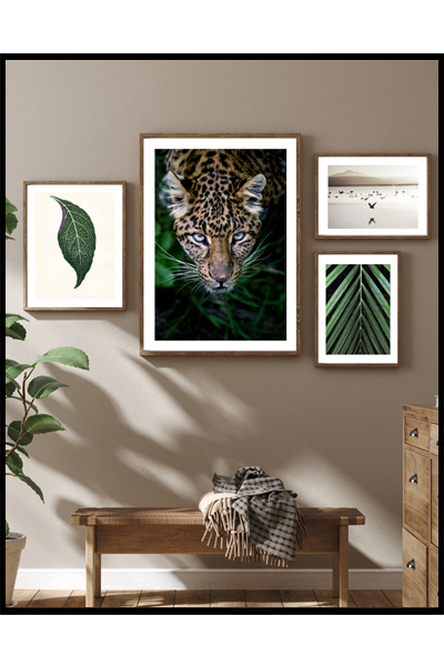 Готовое решение #173