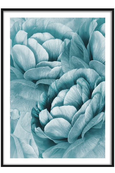 Постер Голубые цветы