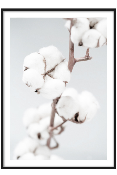 Постер  Хлопок №2