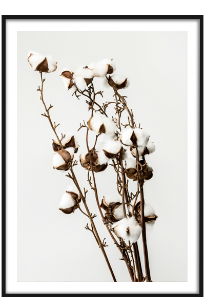 Постер  Хлопок №3